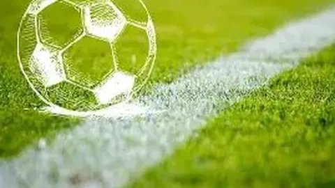 张本美晋升新岗位，多年努力迎来硕果累累